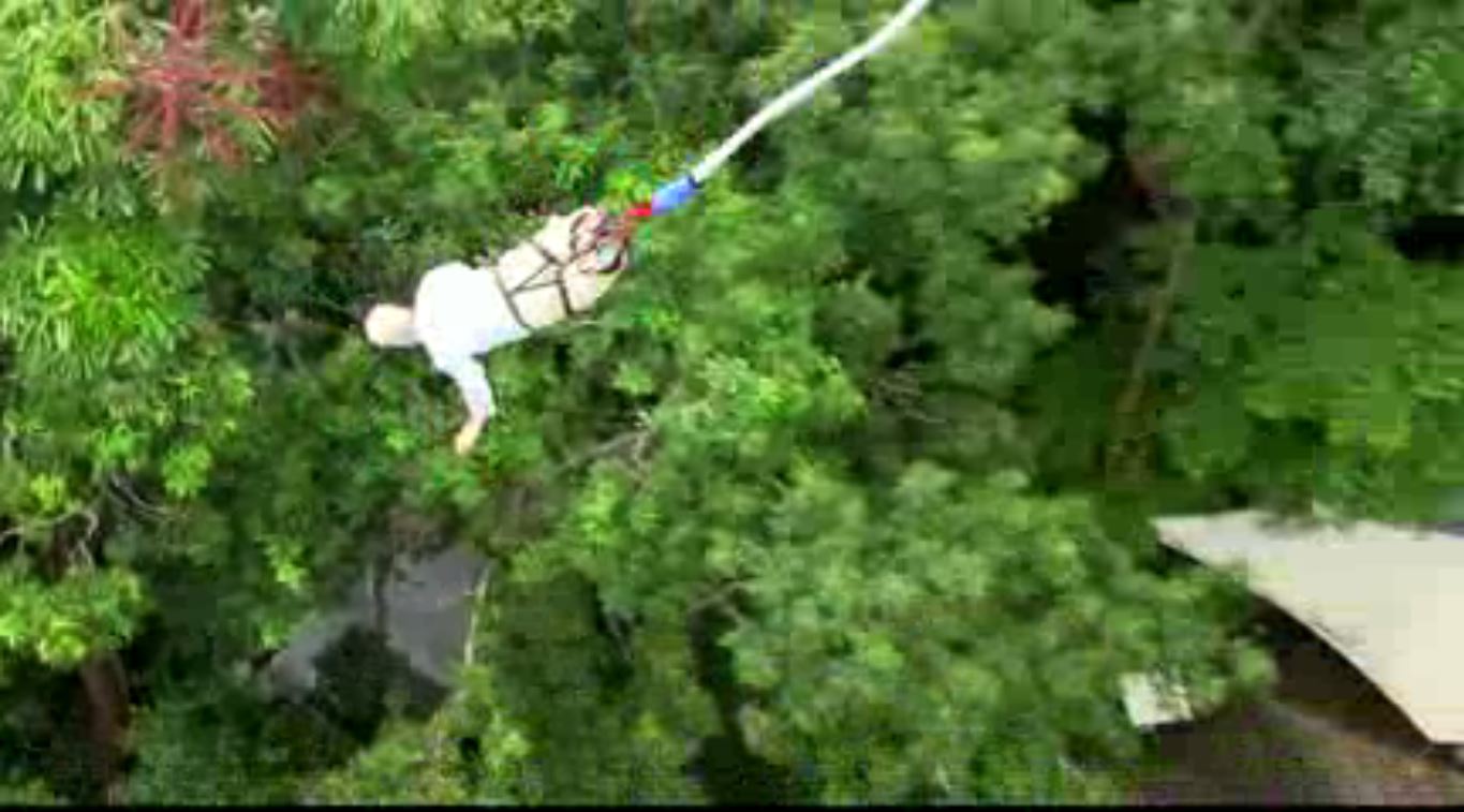 Bungee Jump